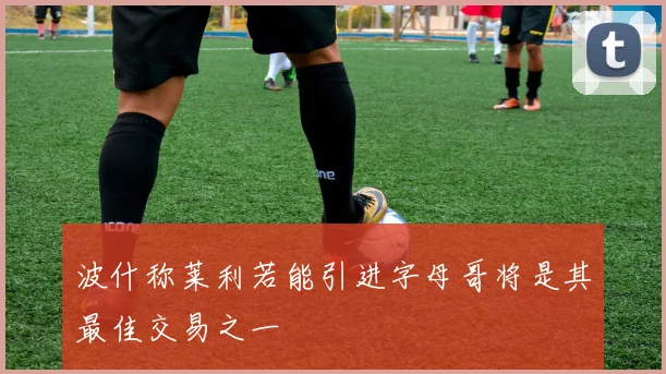 波什称莱利若能引进字母哥将是其最佳交易之一