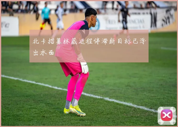 北卡招募林葳进程停滞新目标已浮出水面